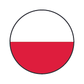 פולין flag